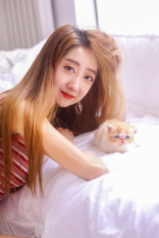 电视剧新结婚时代